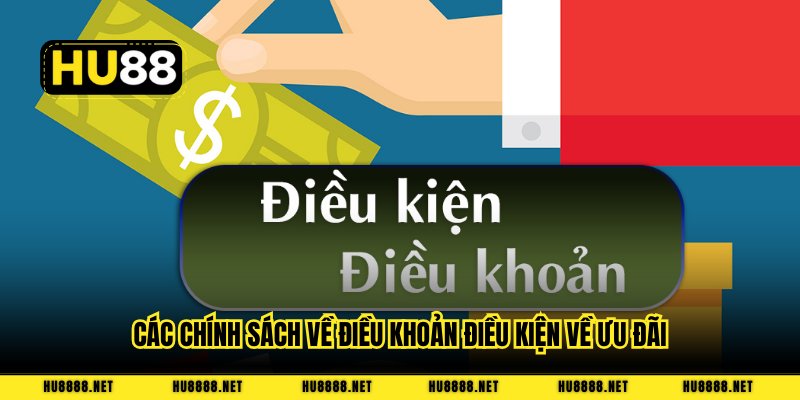 Các chính sách về điều khoản điều kiện về ưu đãi