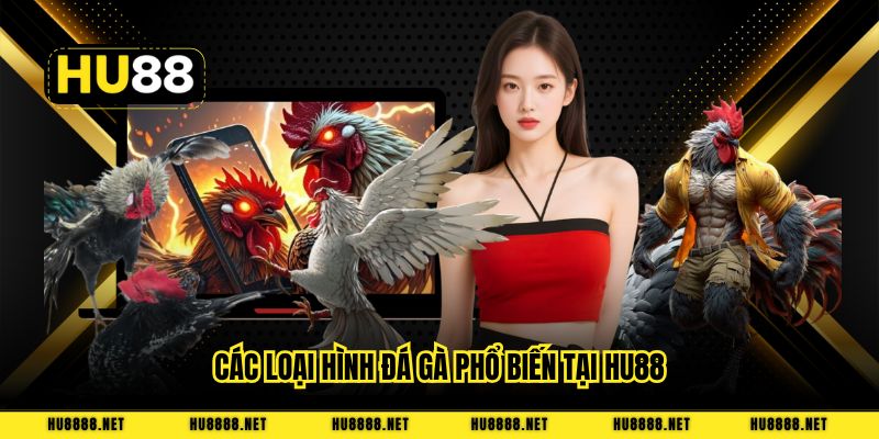 Các loại hình đá gà phổ biến tại HU88