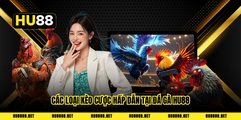 Các loại kèo cược hấp dẫn tại đá gà HU88