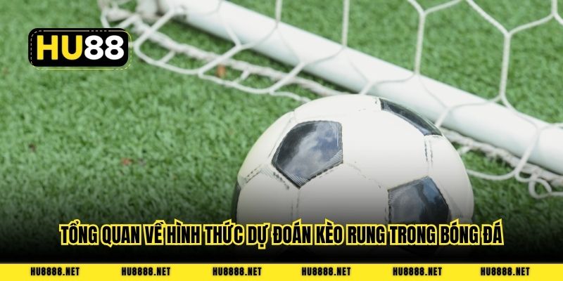 Tổng quan về hình thức dự đoán kèo rung trong bóng đá